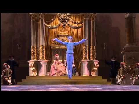 Sleeping Beauty. Blue Bird PDD