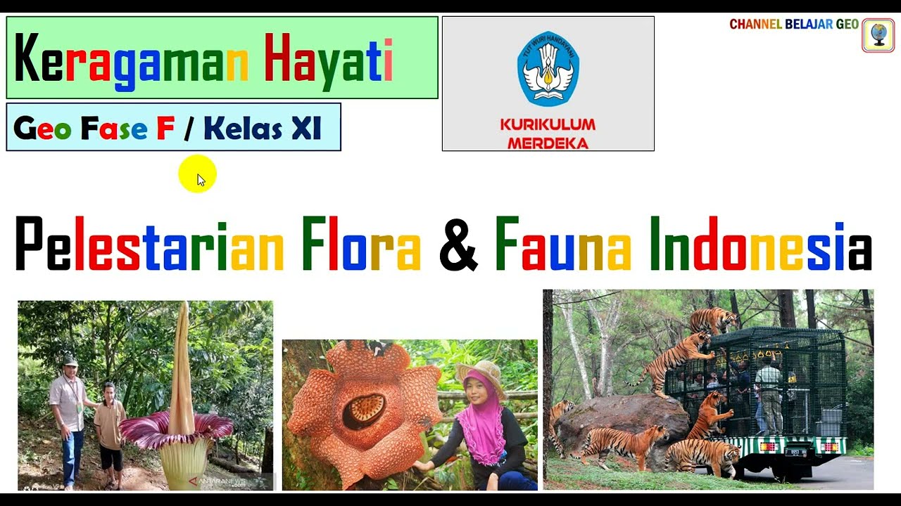 Pelestarian Flora Fauna #kumer