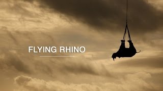 Flying Rhino - Green Renaissance