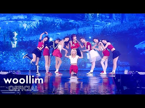 러블리즈(Lovelyz) '닿으면, 너' Live Stage @겨울나라의 러블리즈4