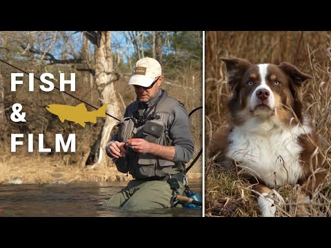 Fish and Film - Fish in a Barrel