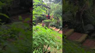 Download lagu going home mp3