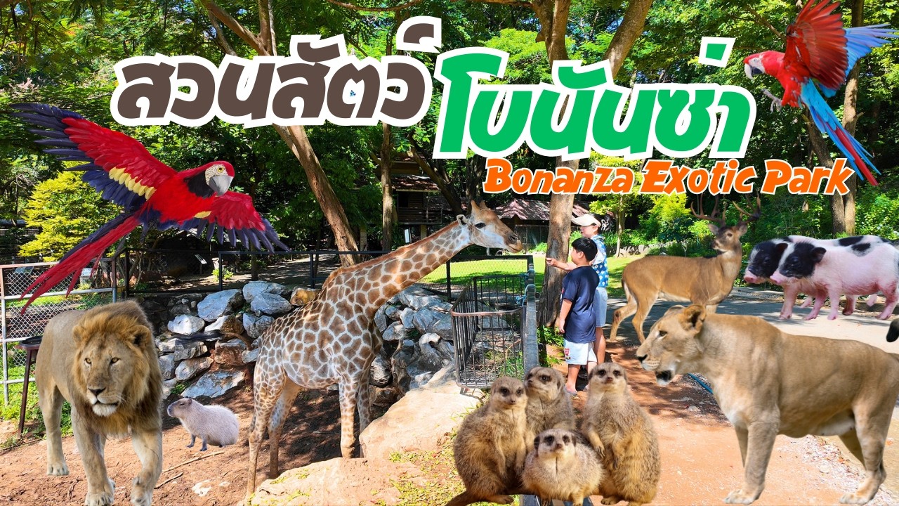 โบนันซ่า เอ็กโซติก ซู