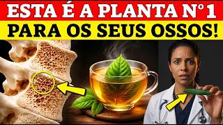 Apenas 1 por dia para ter OSSOS FORTES e ARTICULAÇÕES SALDAVEIS | Combate a osteoporose