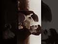 Dhanush Thanga Magan Love Status Videos Tamil HD