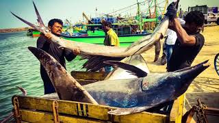 Vaa Velaikkara Tribute