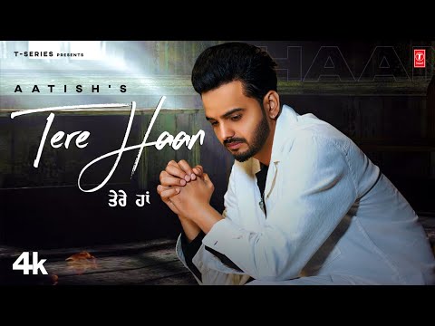 Tere Haan