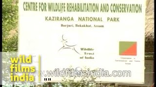 Kaziranga National Park, Assam