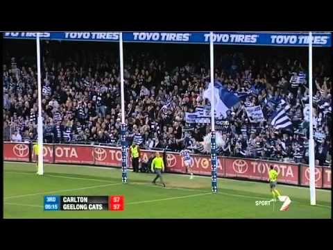 Round 11 AFL - Carlton v Geelong highlights