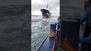 Download lagu kapal berjuang di tengah badai mp3