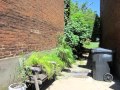 Bucks County Back Road Traveler Founders Park Jonesborough TN