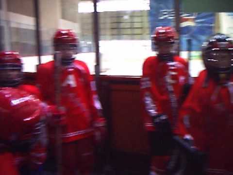 Skola hokeja- HK Vojvodina 28.01.2017. pred utakmicu