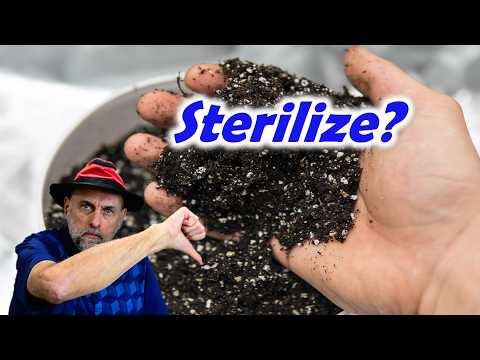 The Truth About Sterilizing Soil?