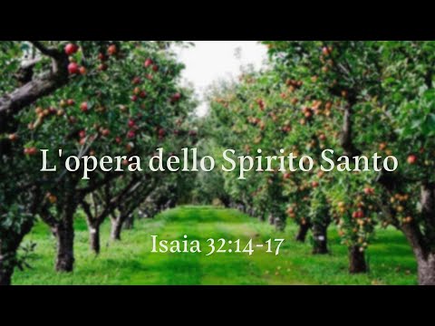 L'opera dello Spirito Santo