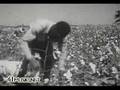 Lonnie Donegan - Pick a Bale of Cotton (video by 41)