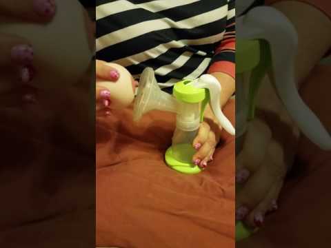 How to Insert the Ardo Optiflow