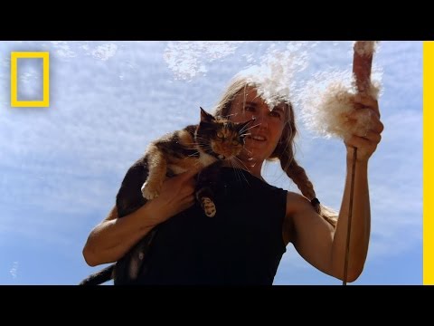 Amelia | Live Free or Die