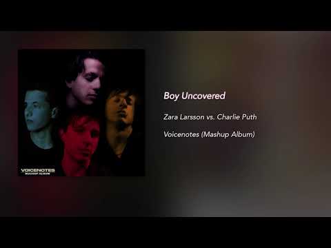 Boy Uncovered (Mashup) - Zara Larsson x Charlie Puth