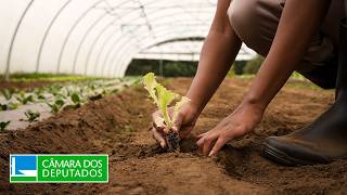  Discussão e votação de propostas legislativas - 10/12/2025 10:00