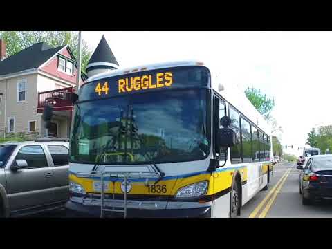 4Eva 6- Heffna x HotTopic 6