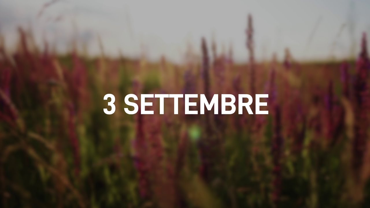 3 Settembre 2025 | Meditazione Parole di Vita