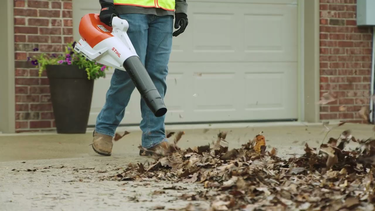 BGA 250 Looping Video