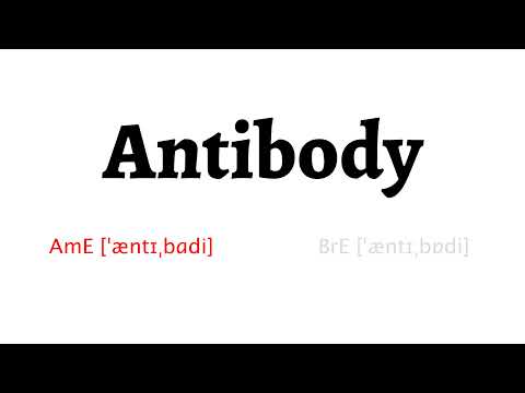 How to Pronounce antibody in American English and British English