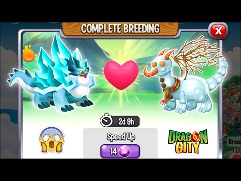 Dragon City: Iceberg Dragon vs Snowman Dragon [EXCLUSIVE BREEDING] 😱