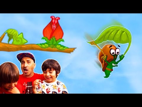 Video cover