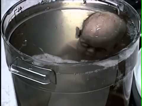 Ratten Monster  Monsters Prank