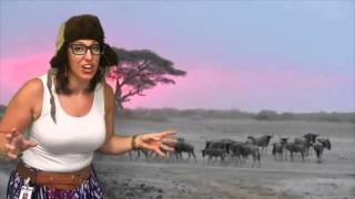 Oh the places I&#39;ll go