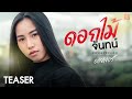 TEASER ดอกไม้จันทน์ ออยเลอร์ COVER VERSION