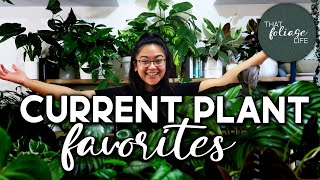 Current Favourite Houseplants!