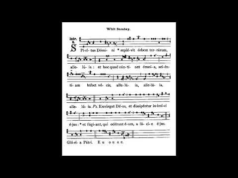Introit - Spiritus Domini - Pentecost 2020
