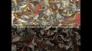 Forty Warm Streams to Lead Your Wings - Album Teaser