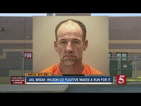 Tennessee Arrests Wilson