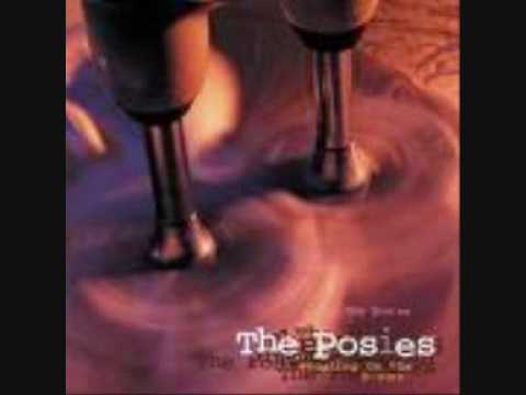 The Posies - Flavor Of The Month