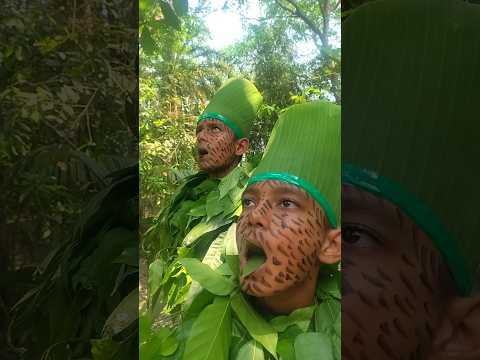 \Bird calls\ #entertainment #shorts #birdsounds #nature #birdcalls #forestbirds #birds