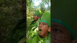 Download lagu 'Bird calls' #entertainment #shorts #birdsounds #nature #birdcalls #forestbirds #birds mp3