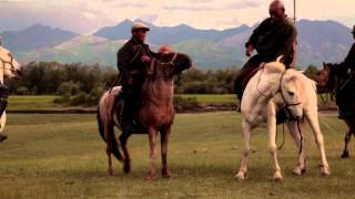 Трейлер превью