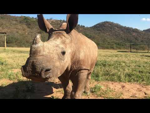 Care for Wild Giving Tuesday