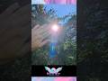 ️ Sun Codes Light It Up Through Nature Photography Light Codes 🫶