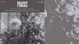 Praises - Calm As Colour (OFFICIAL AUDIO)