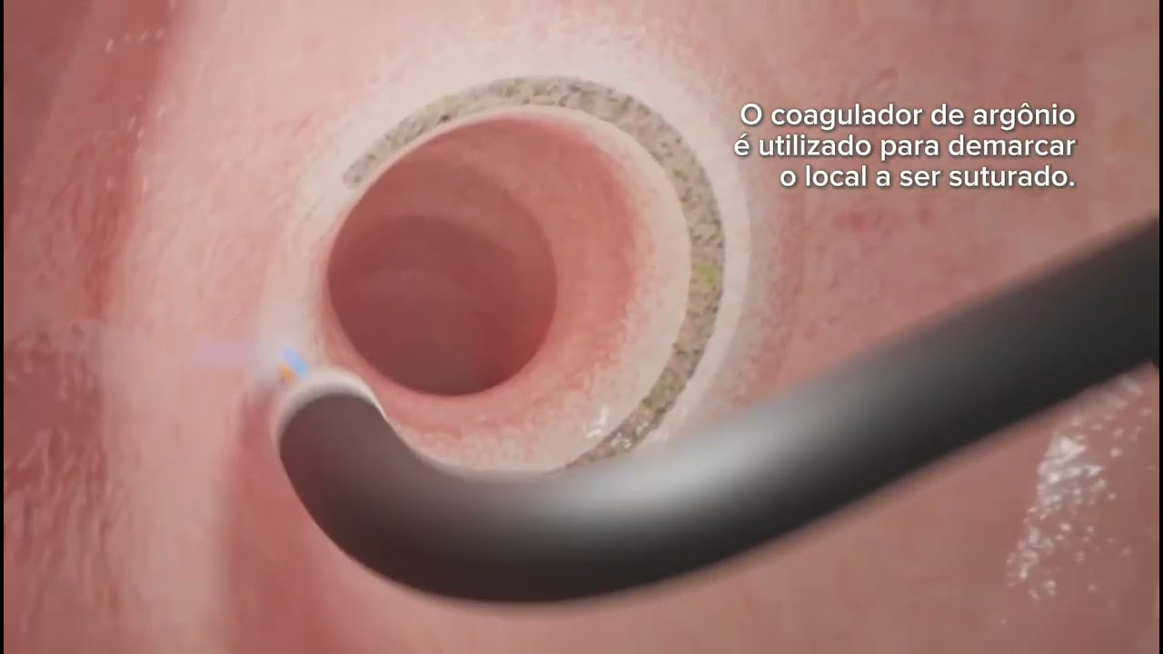 Fábio Miranda Ribeiro-24