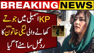 Download lagu PMLN MPA Sobia Shahid's Reaction To The Shoe-Throwing Incident In KPK Assembly Session | CapitalTV mp3