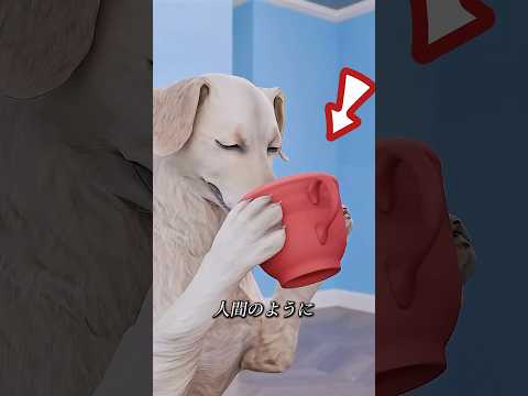 子犬は水を飲まずに食べます。💧