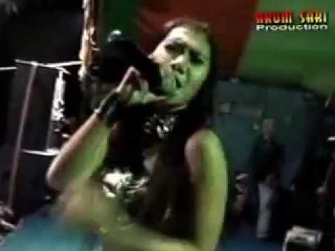 Alunan Musik Pantura Lagi Lagi sendiri- NOrma Silvi