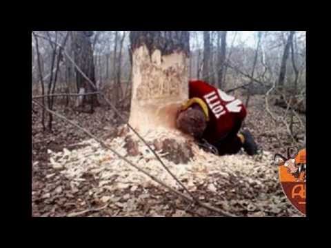 Finale Coppa Italia 2013 SS Lazio 1900 nella leggenda