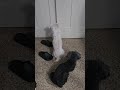 Please open the door