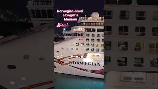 NORWEGIAN JEWEL заходит в Майами #norwegianjewel #miami #umarkeyn #4k #cruiseship